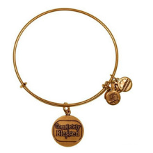 Alex and Ani Bangle/ Charms Bangle/ Fashion Jewelry (XBL13355)